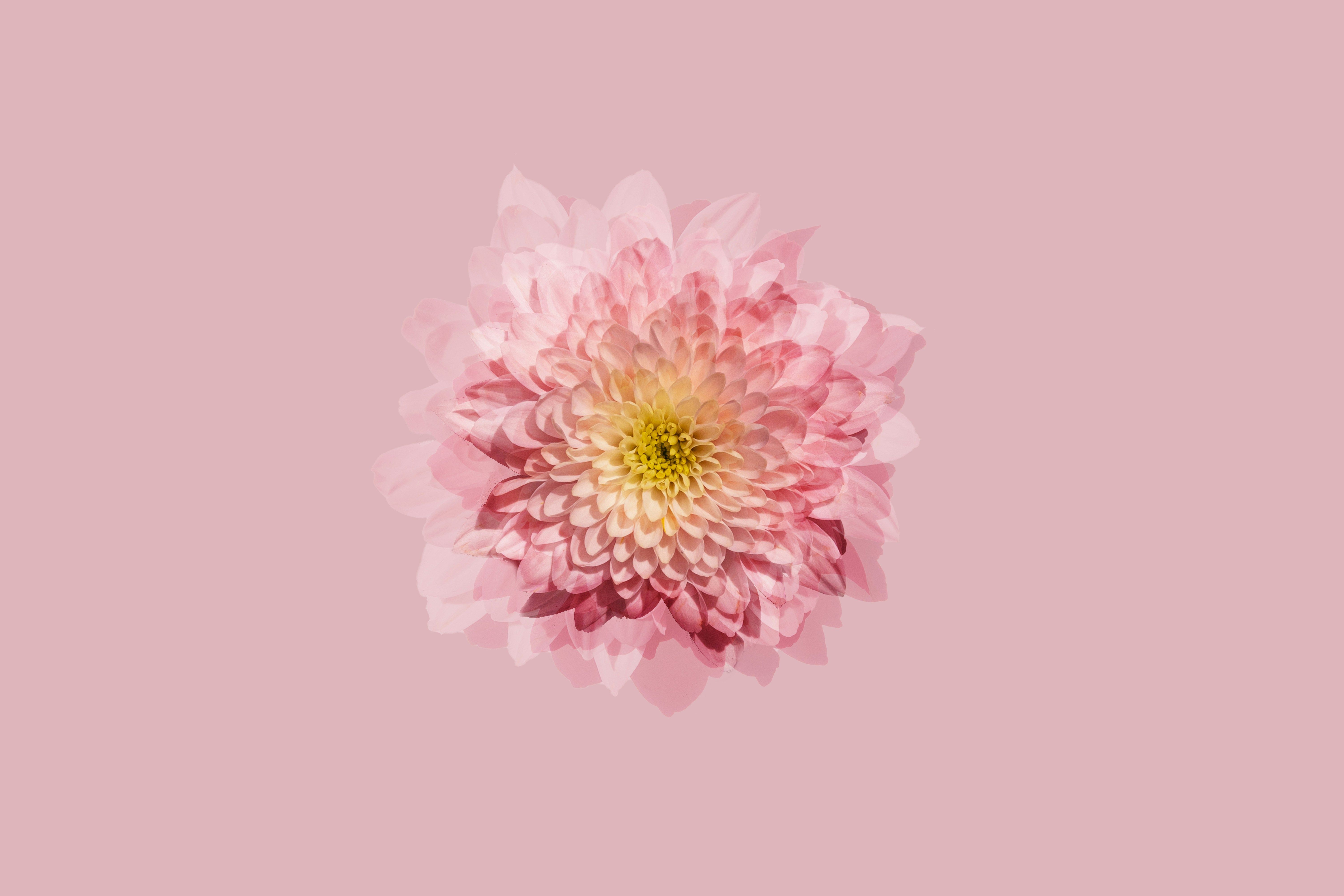 unsplash_4tl-lotlvEg