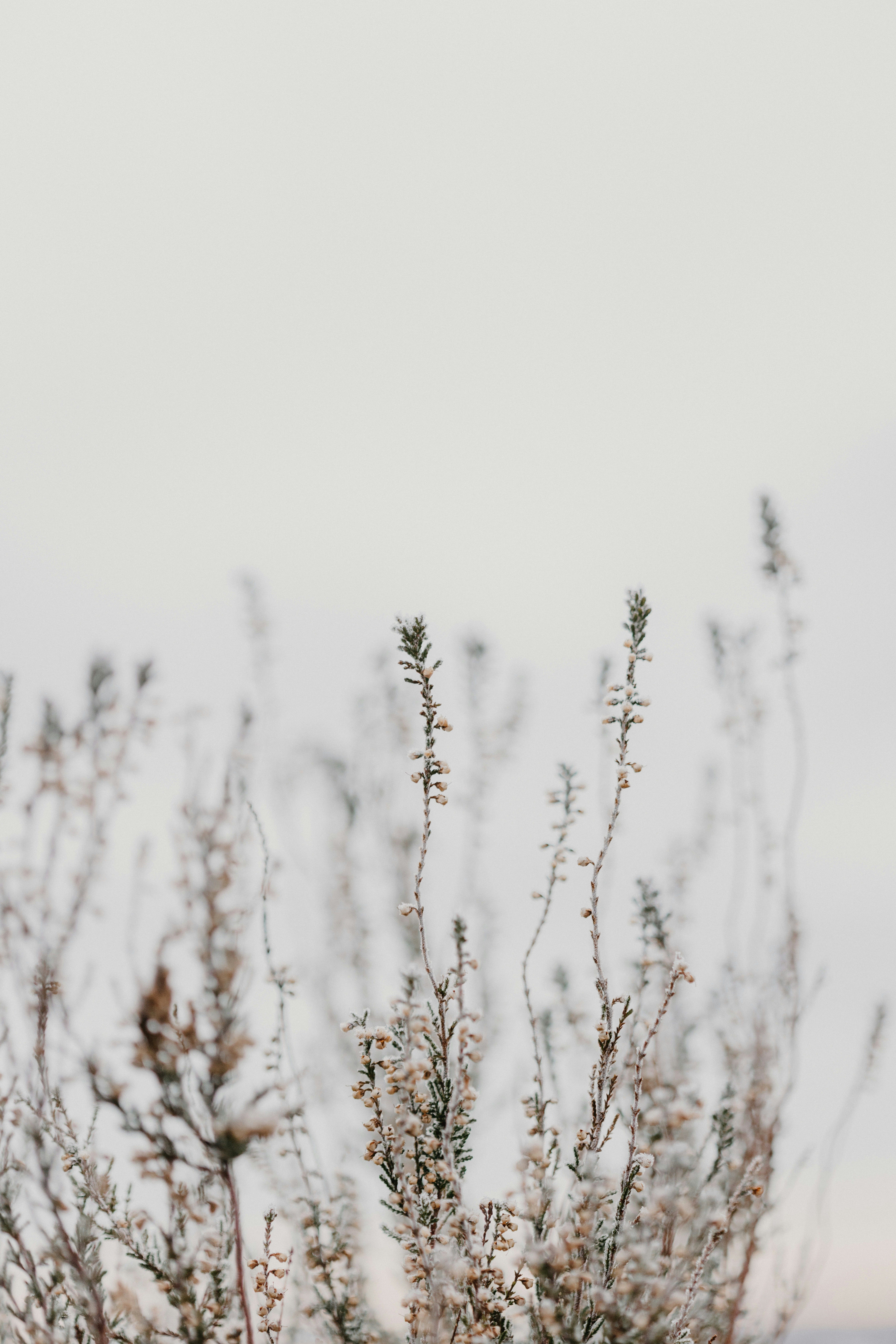 unsplash_H7NZU7L3ldw