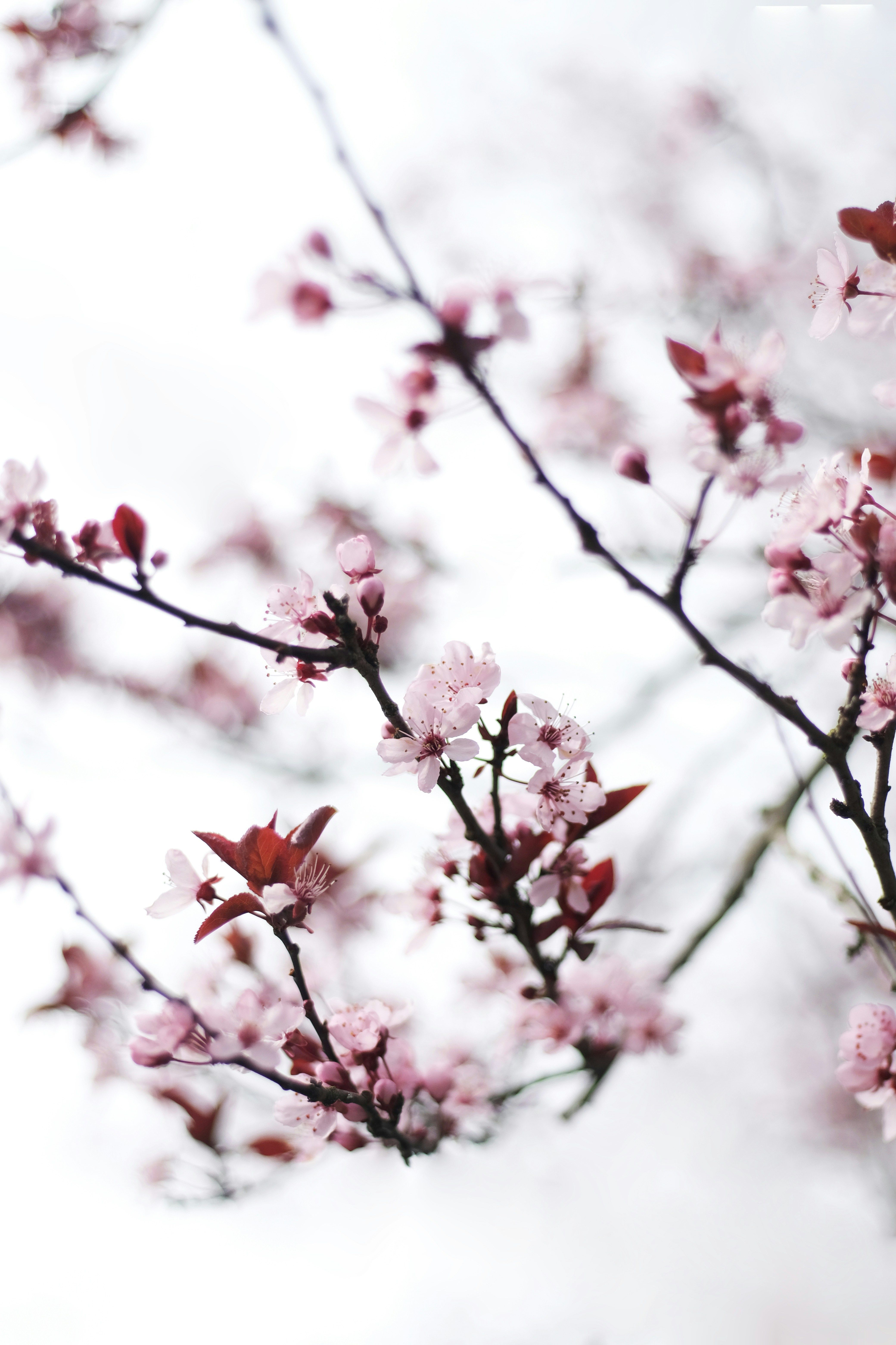 unsplash_eJKwOclHPrk