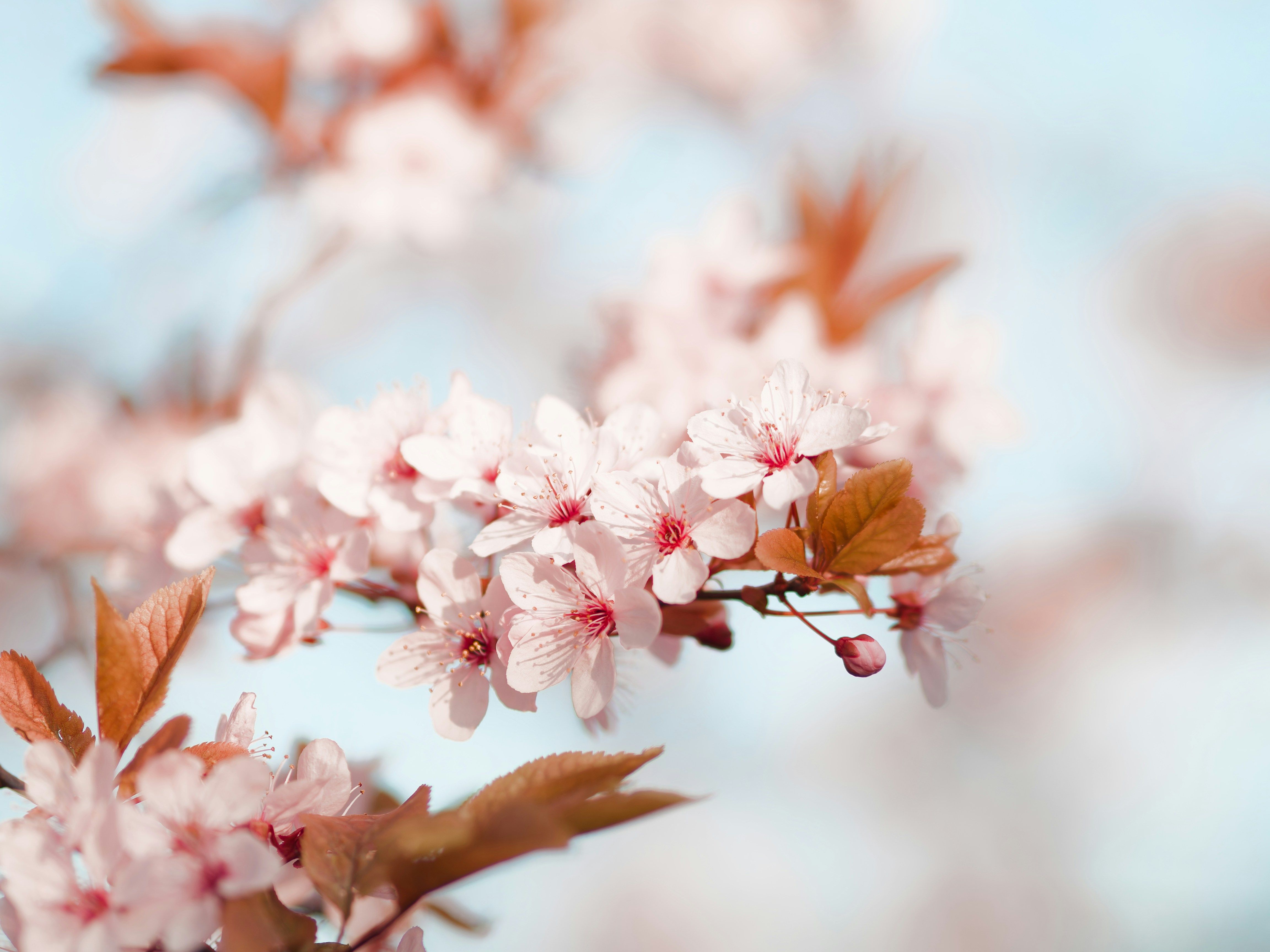 unsplash_lCjH6ZOBhXs