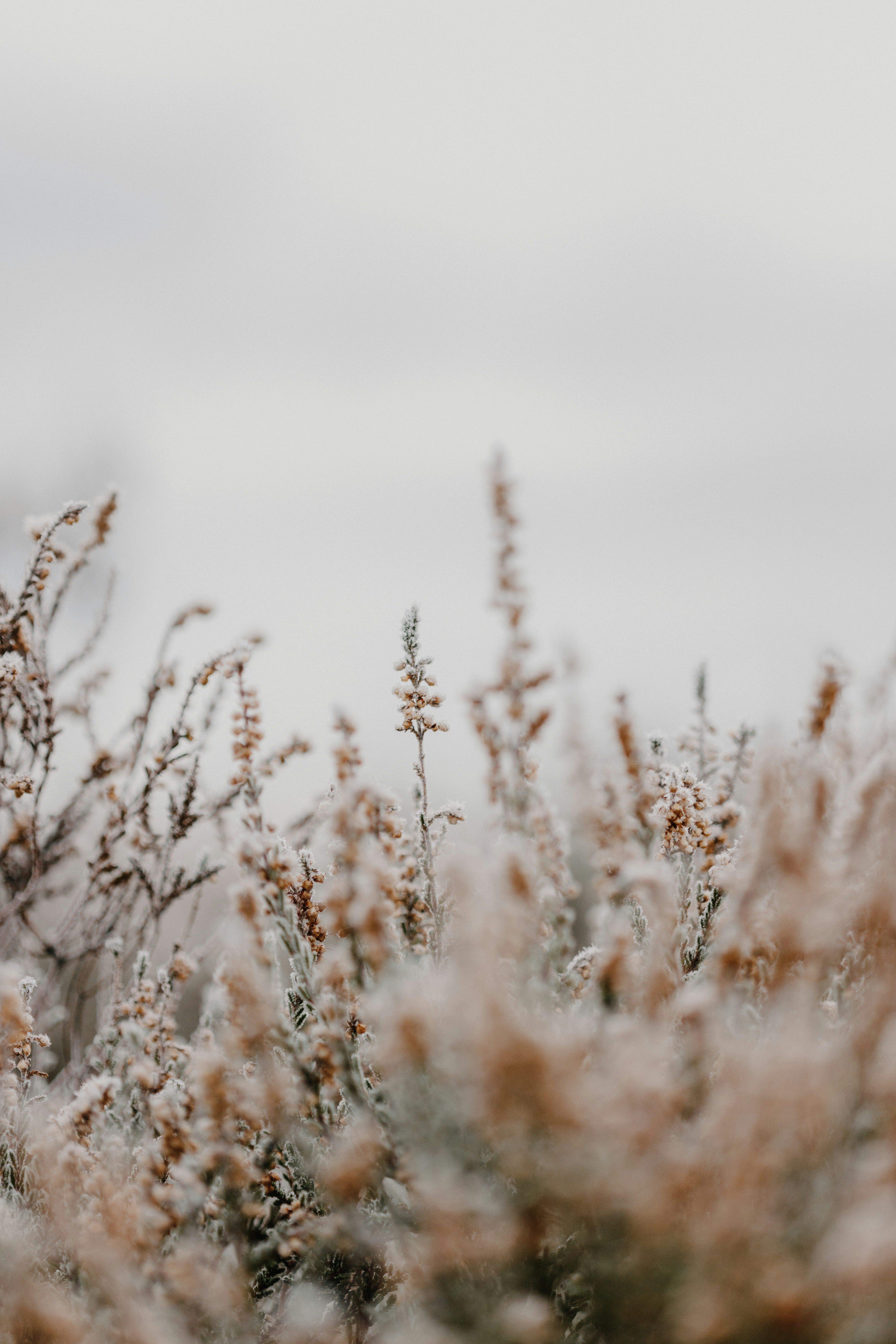 unsplash_nKWkXS3xTZY