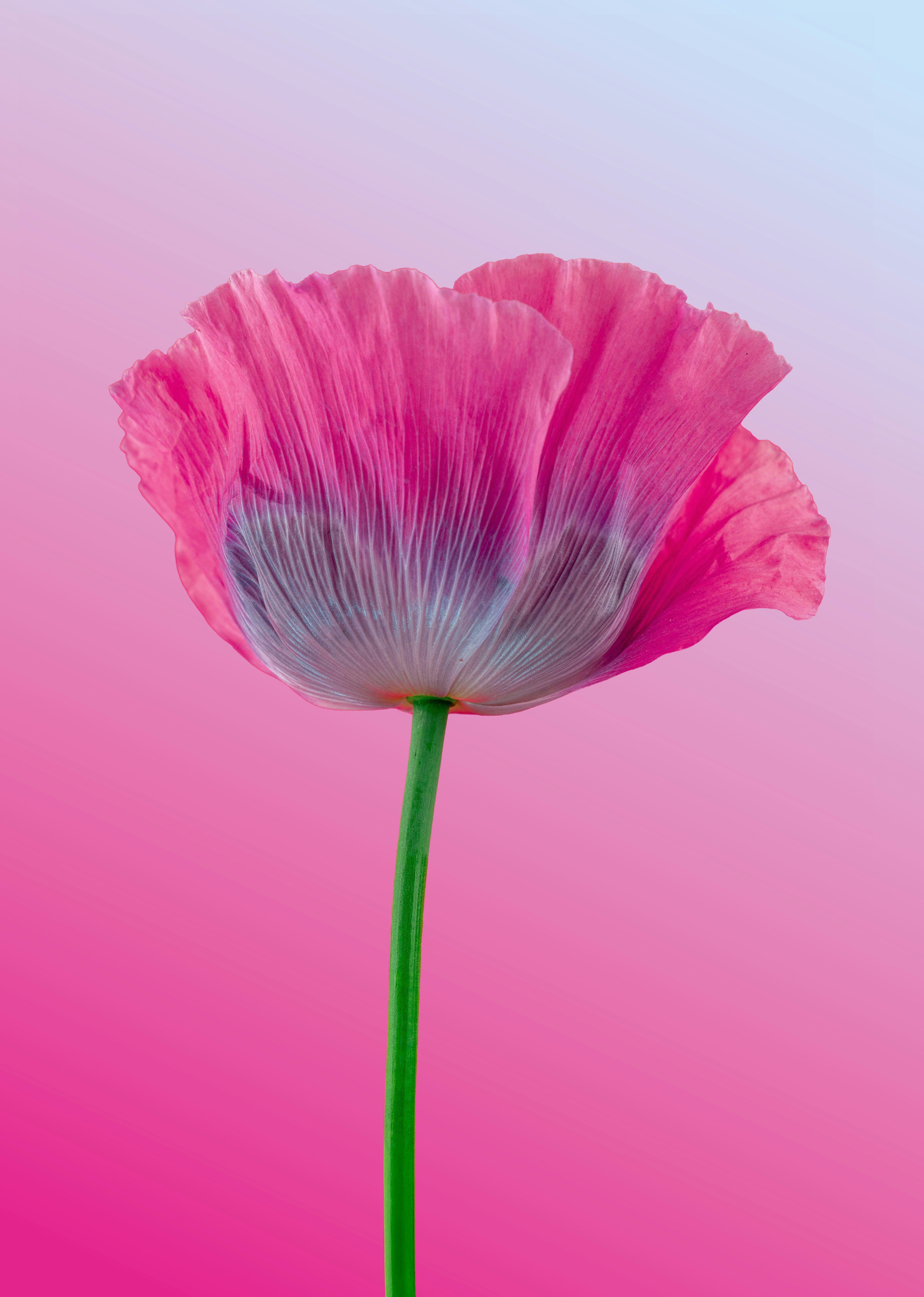 unsplash_tDUkm1M0tvg